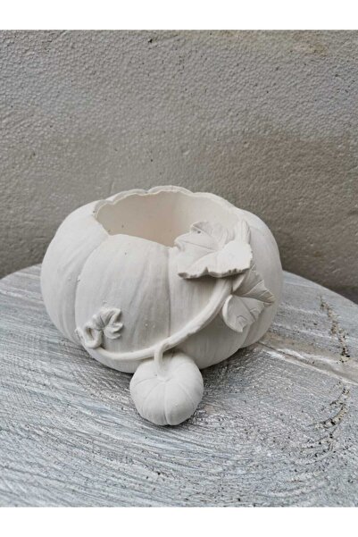 Genel Markalar Yavrulu Kabak Saksı 1 Adet Taş Tozundan Ham Yollanır Kabak Yav...