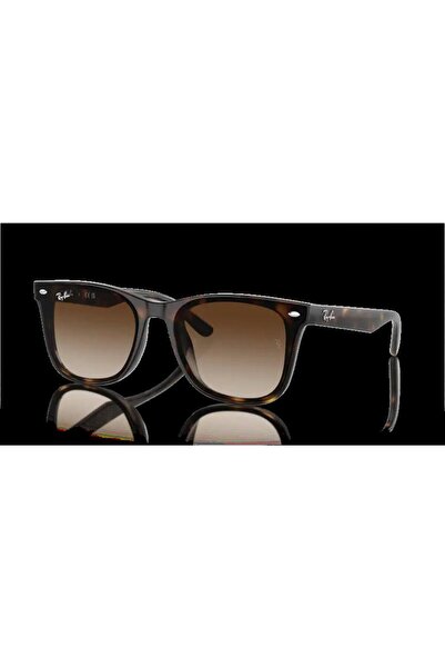 Ray-Ban 0RB4420 710/13 65 Günes Gözlügü