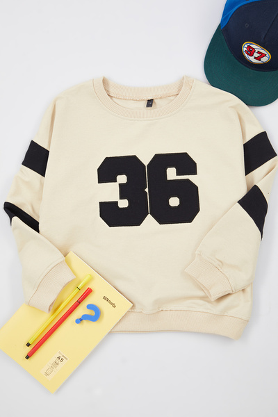 TRENDYOLKIDS Hanorac tricotat cu gât de bicicletă, cu blocuri de culoare, sezonier, bej, pentru bărbați TKDAW25SW00005