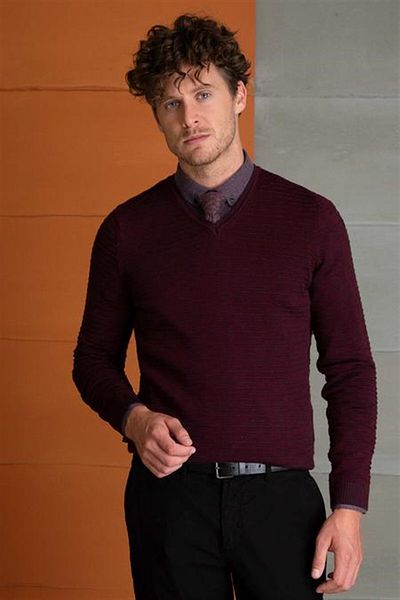 Pierre Cardin P.Cardin 670021   Model Sweater