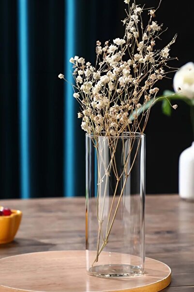 Jenisa Vaza din sticla transparenta cilindru 12x25 cm - Design decorativ mode...