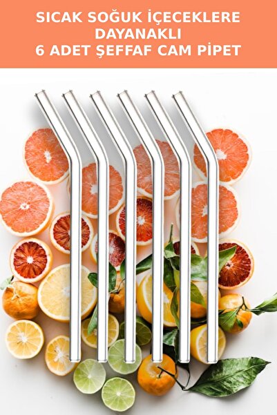 Open Home Concept 6-Piece Hot Cold Drink Straw - Glass