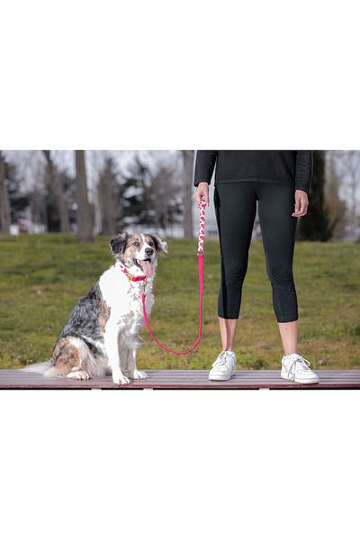 GoPawGo Valentine's Day Charm Dog - Neck Collar and Walking Set