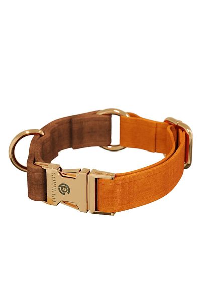 GoPawGo Charmed Harlowe Dog Collar