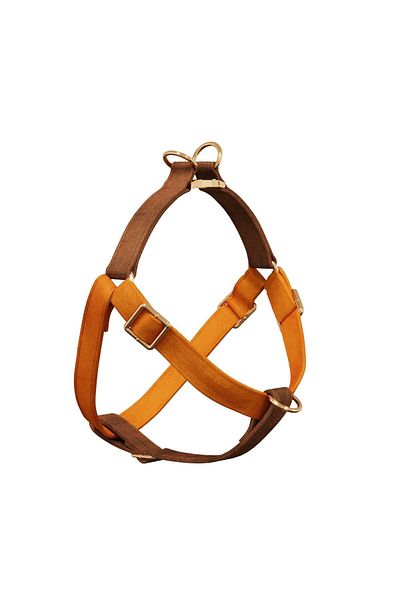 GoPawGo Charmed Harlowe Dog Collar