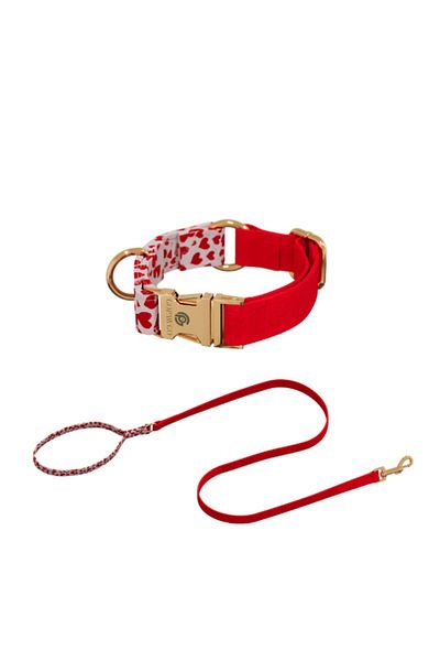 GoPawGo Valentine's Day Charm Dog - Neck Collar and Walking Set