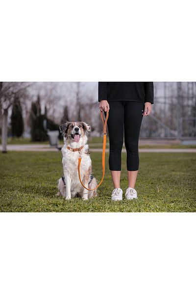 GoPawGo Harlowe Charm Dog - Neck Collar and Walking Strap Set