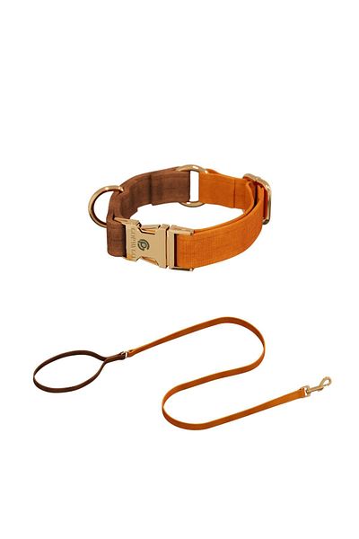 GoPawGo Harlowe Charm Dog - Neck Collar and Walking Strap Set