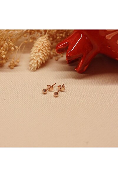 TAHAN MÜCEVHERAT 2 mm Rose Dorika Vidalı Küpe