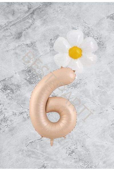 BEST PARTİ DOĞUM GÜNÜ PARTİ SÜSLERİ Age 6 Sand Beige Number Daisy Foil Balloon Set