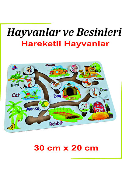 Ankebut حيوانات ومغذيات متحركة باللون الأبيض - إنجليزي