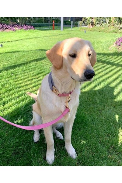 GoPawGo Charmlı Supreme Köpek Boyun Tasması Ve Gezdirme Kayış Seti