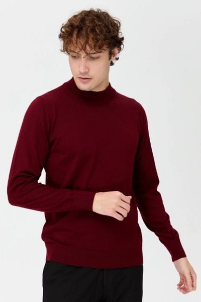 LEON ONE Claret Red Men's Knitwear Sweater - Half Turtleneck, Non-Pilling, Regular Fit