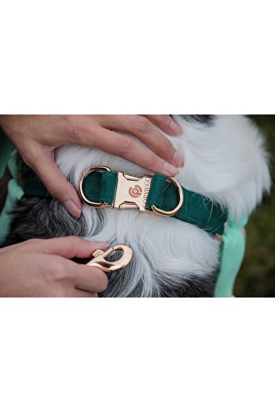 GoPawGo Charmlı Shelby Köpek Göğüs Tasması