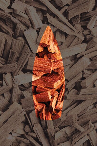 AURAN Sandal Ağacı Kokulu Geri Akış Tütsüsü konik Tütsü Sandal Wood Backflow Incense Cones 10 Adet