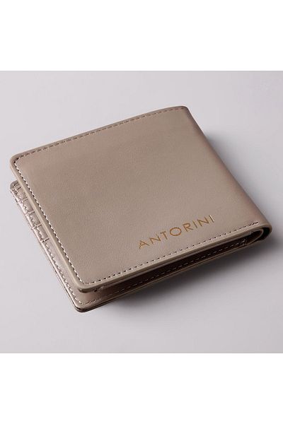 ANTORINI Мъжки портфейл Berluti от естествена кожа с джоб за монети, произведен в Италия - картодържател