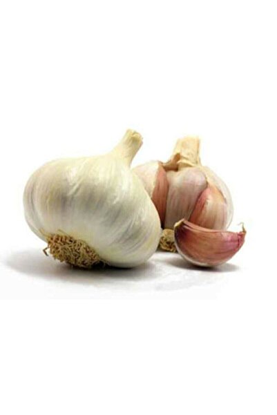 Genel Markalar Doğal Kastamonu Taşköprü Sarımsak 1 Kg Yerli Üretim Yerli Tohum