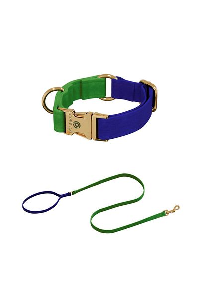 GoPawGo Charmed Jewel - Dog Collar and Walking Strap Set