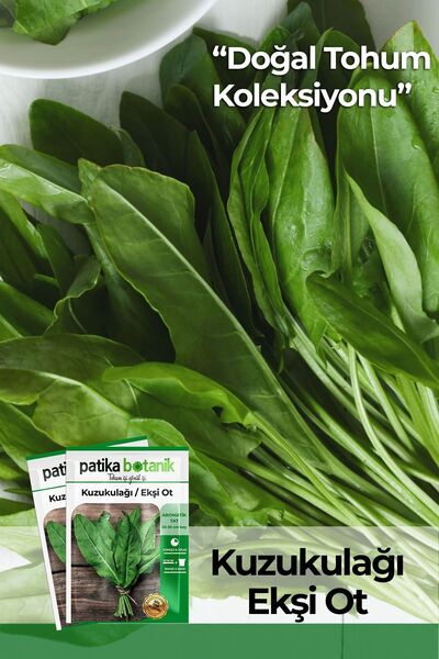 Patika Botanik 1000 Adet Kuzukulağı - Ekşiotu Tohumu