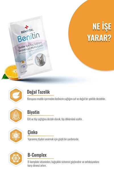 Benifital Benitin Kediler Için Tüy Sağlığı Destekleyici Multivitamin Kedi Tüy Dökümü Önleyici Damla Biyotin