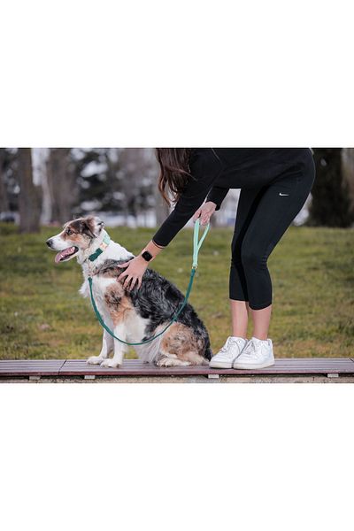 GoPawGo Shelby Charm Dog Collar and Walking Strap Set