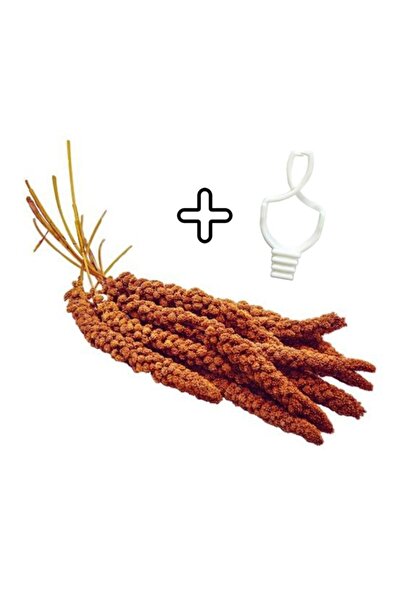 Pet Materyal Kızıl Dal Darı 150 Gr + Tutacak