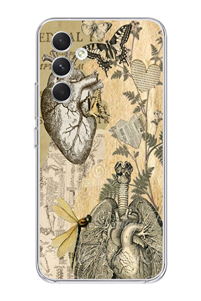 moonset Samsung Galaxy A54 Uyumlu Kalp ve Kelebek Tasarımlı Baskılı Şeffaf Te...