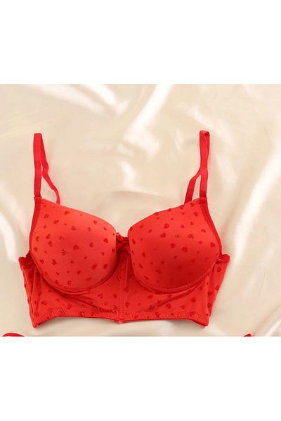 PİERLES Flock Printed Supported Bra Set