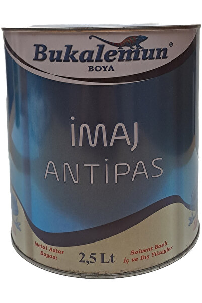 Bukalemun Imaj Antipas Boya