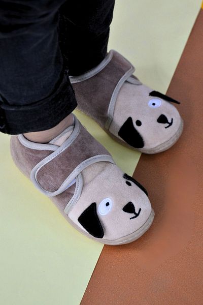 First Step Dog Velcro Slippers