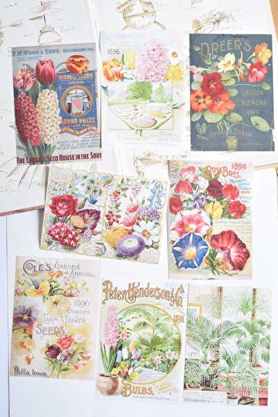 Scrapbook Vintage Çiçek Temalı Scrapbook Kağıdı / Scrapbook & Journal