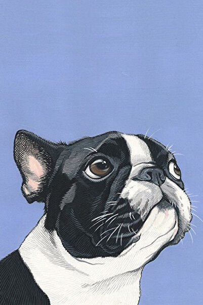 hediyeniburadabul Dog Design Wooden Poster