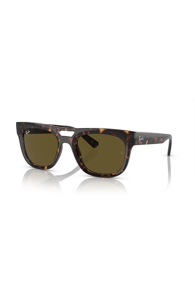Ray-Ban 4426135973 54 Model Sunglasses