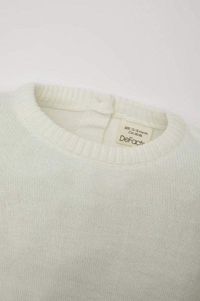 DeFacto Crew Neck Baby Girl Sweater - X8187a223au
