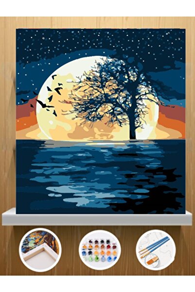 CNS HOBBY TUVAL Sayılarla Boyama Hobi Seti 30x40 Cm Çerçeveli Tuval Seti Fırç...