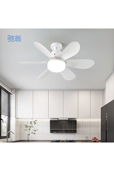 Yussraw Yeni 2IN1 Led Işık ve Fan Sessiz 3 Renk Modu ve 3 Hız Modu Kumandalı ...