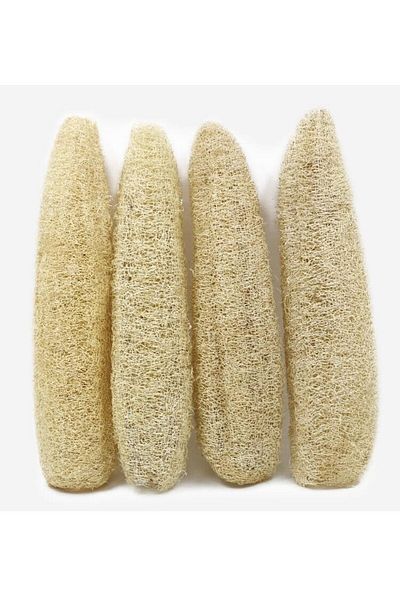 MANİVİ Whole Natural Pumpkin Fiber 1 Piece (between 60 - 80 cm)
