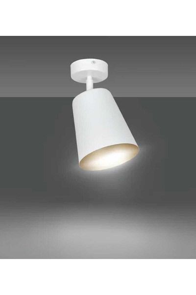 demet habek mylights Mylights White Modern Sports Single Movable Chandelier