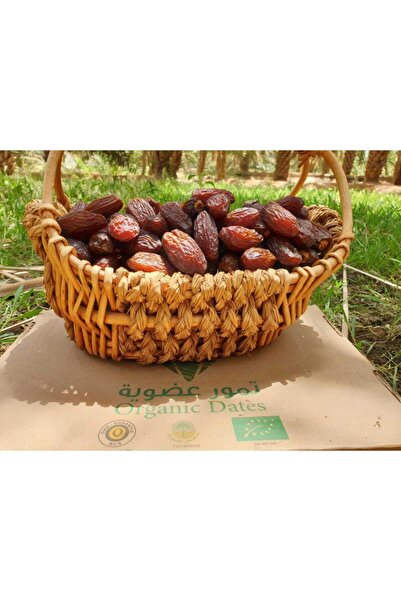Hakikat Organik Medjoul Kudüs Hurma Duble Mejdul Glikozsuz Doğal Lüks Etli 1 kg medium