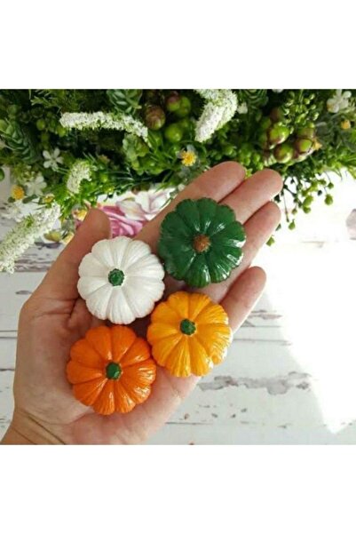 AlohamoraShop Dekoratif 4 Adet Renkli Kabak Biblo Seti