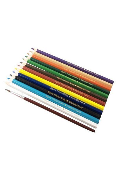Bigpoint 12 Colors Watercolor Pen and Brush Set