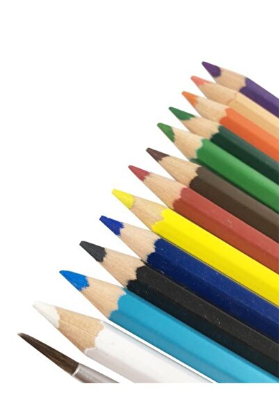 Bigpoint 12 Colors Watercolor Pen and Brush Set