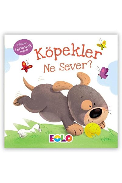 Eolo Yayıncılık The Boy Who Saved the World (Hard Cover)