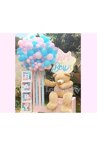 LOTUS PARTY 50 Pieces Gender Learning Balloons Set ( Blue - Pink - Transparent Box )