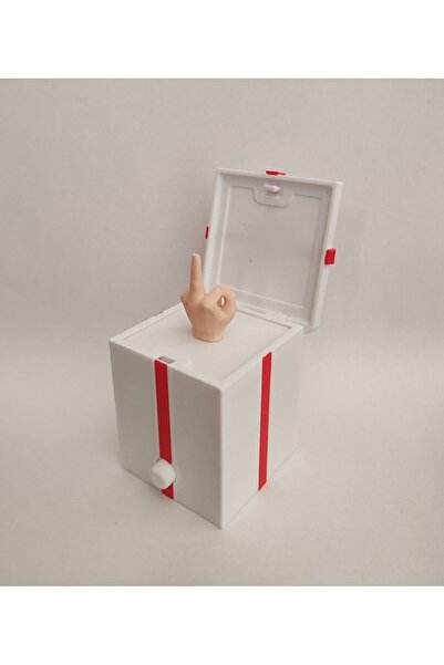 Handmade Sürpriz Hediye Kutusu (Orta Parmak)