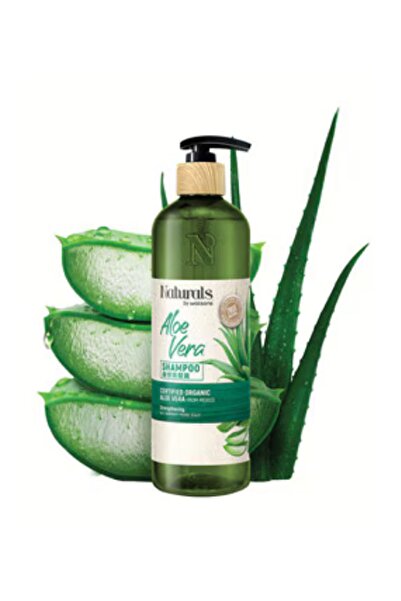 Naturals By Watsons شامبو الاسترخاء بالصبار 490 مل - الشعر الجاف والمعرض للقشرة