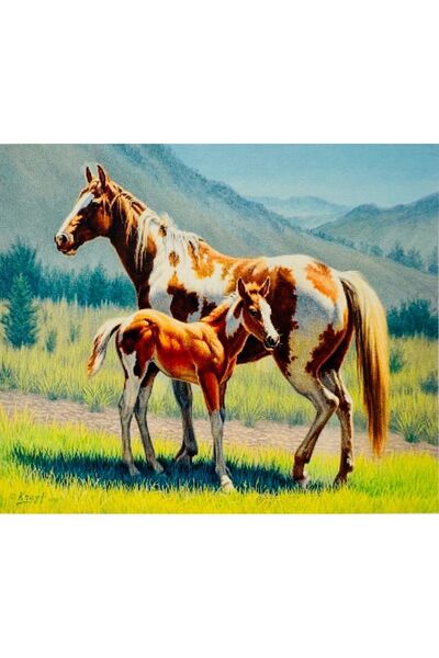 OzanTuhafiye Hı Stone 5d Elmas Boncuk Taş Işleme Mozaik Goblen Kit 50x40cm Gc74393