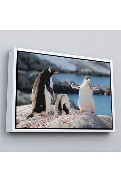 Harita Sepeti Tablou decorativ pe pânză Happy Penguins cu cadru-1172
