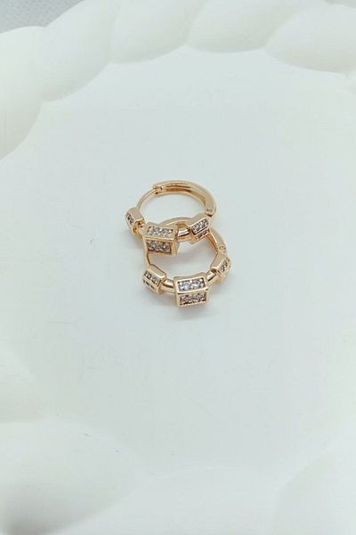 Elasya Jewels Xuping Earrings - Stone Detailed