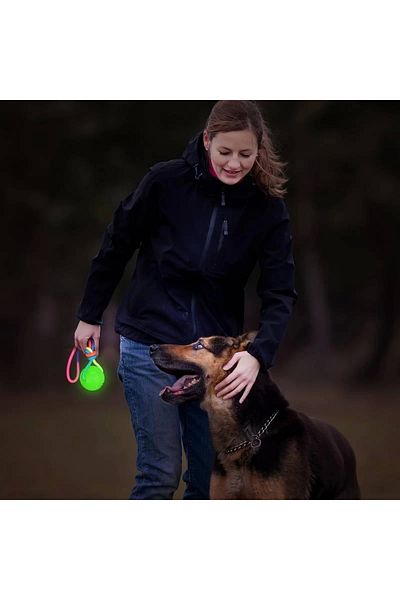Mixpet 6cm Shining Dog Training Flossing Toy